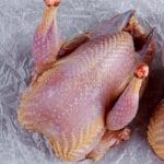Whole Partridge UK Delivery